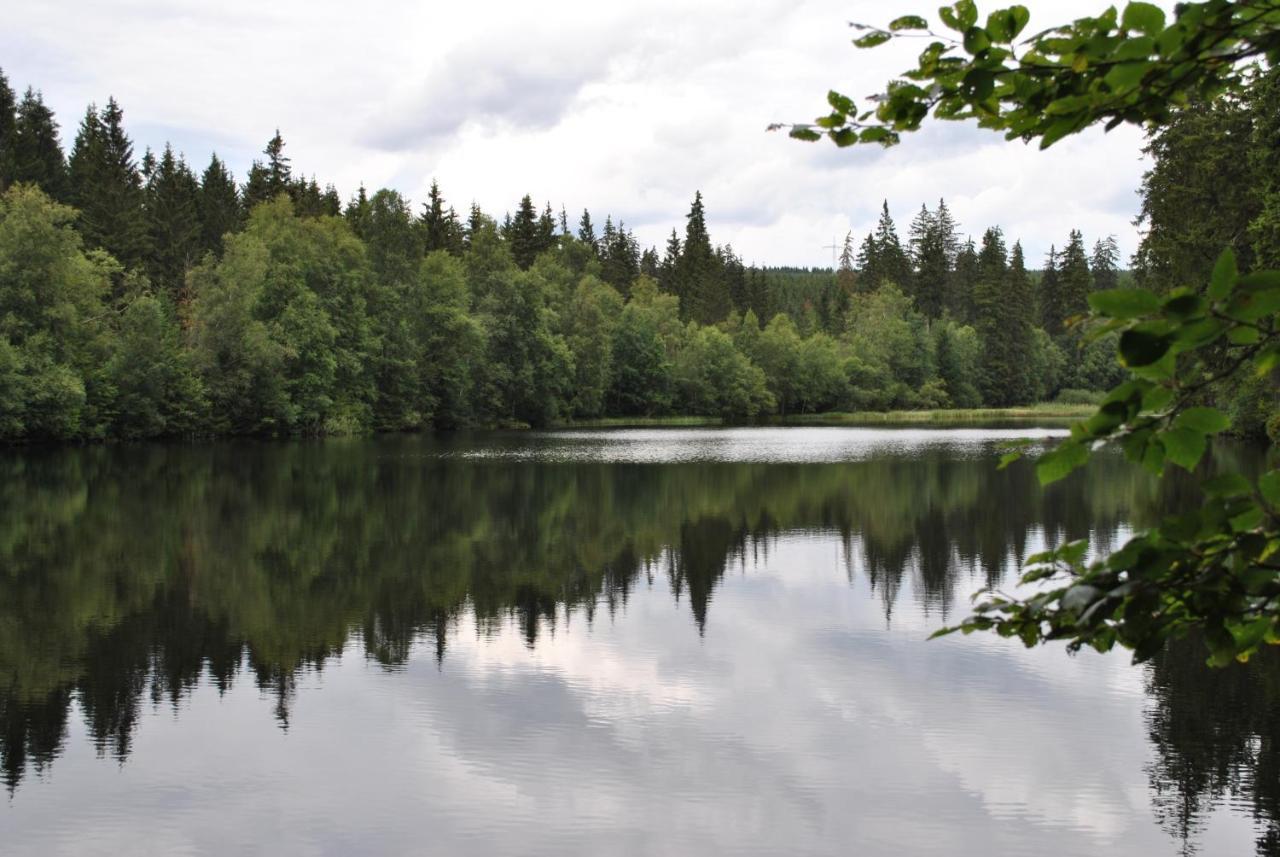 Harz-rose Braunlage