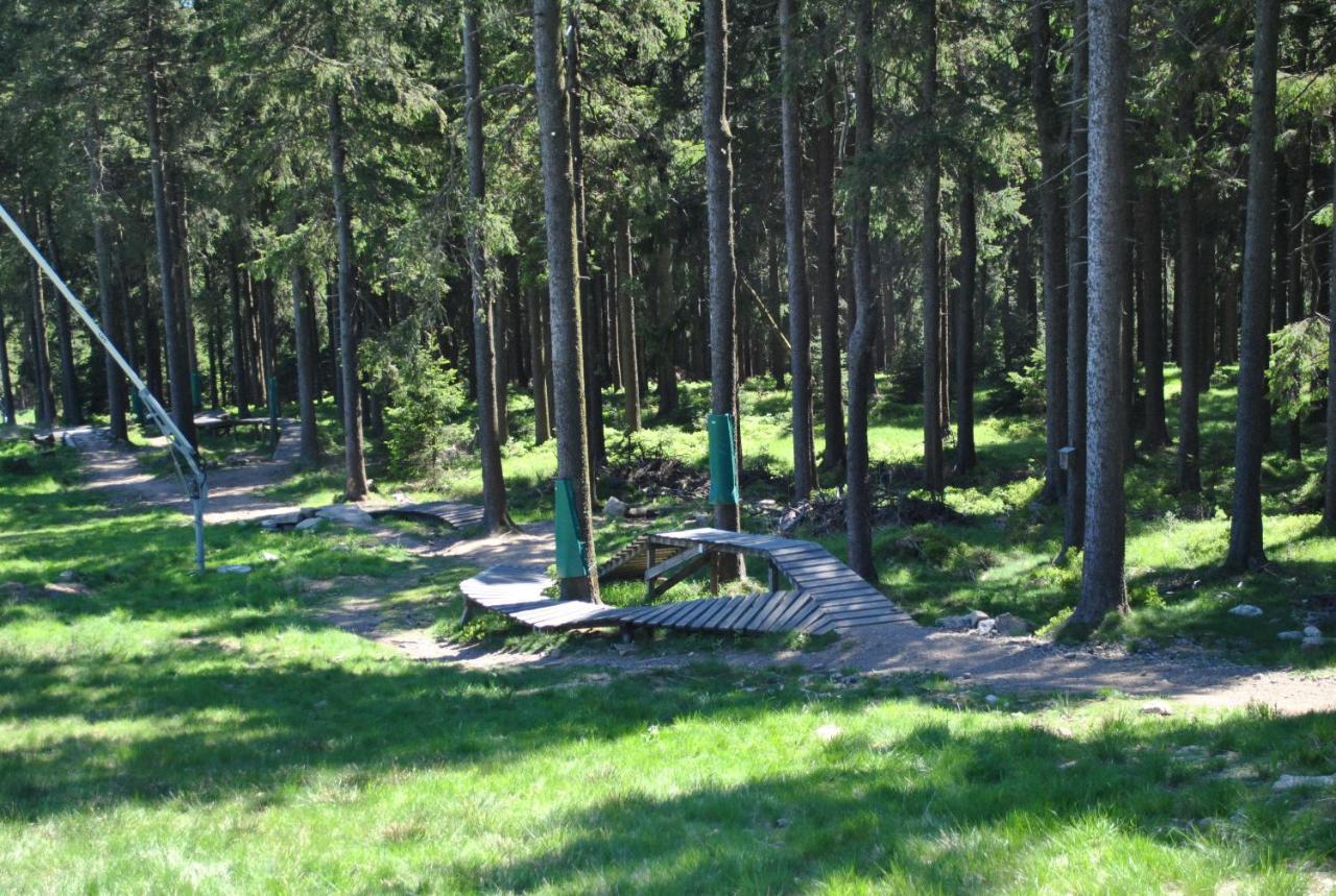 Harz-rose Lejlighed