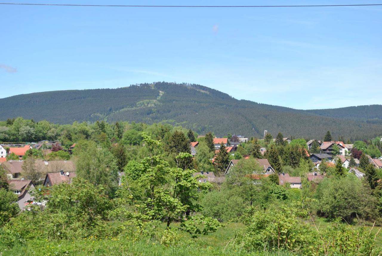 Harz-rose