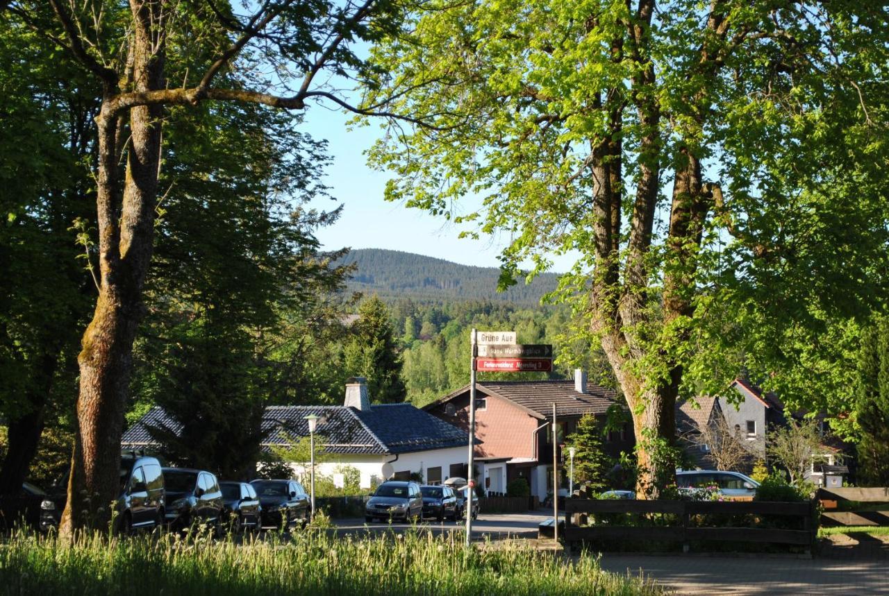 Lejlighed Harz-rose Braunlage
