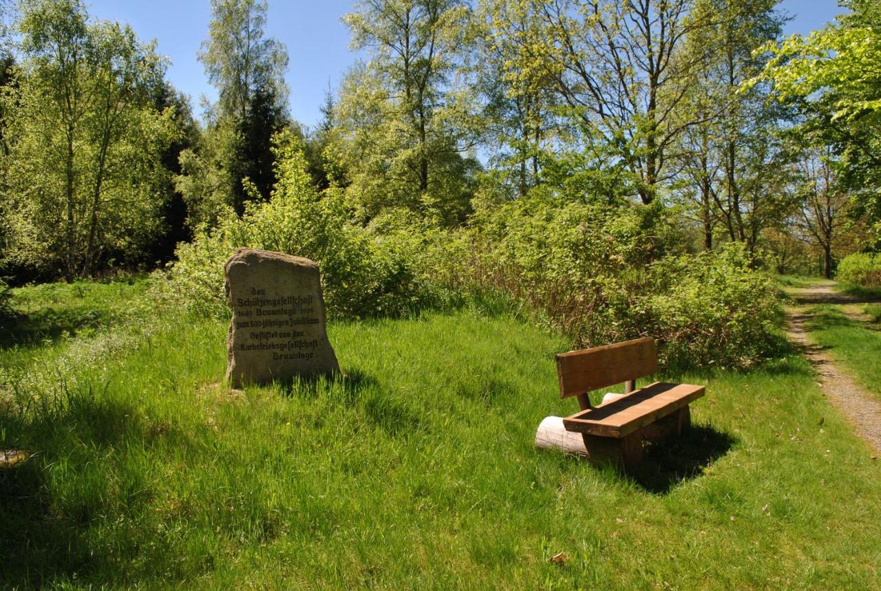 Harz-rose Lejlighed Braunlage