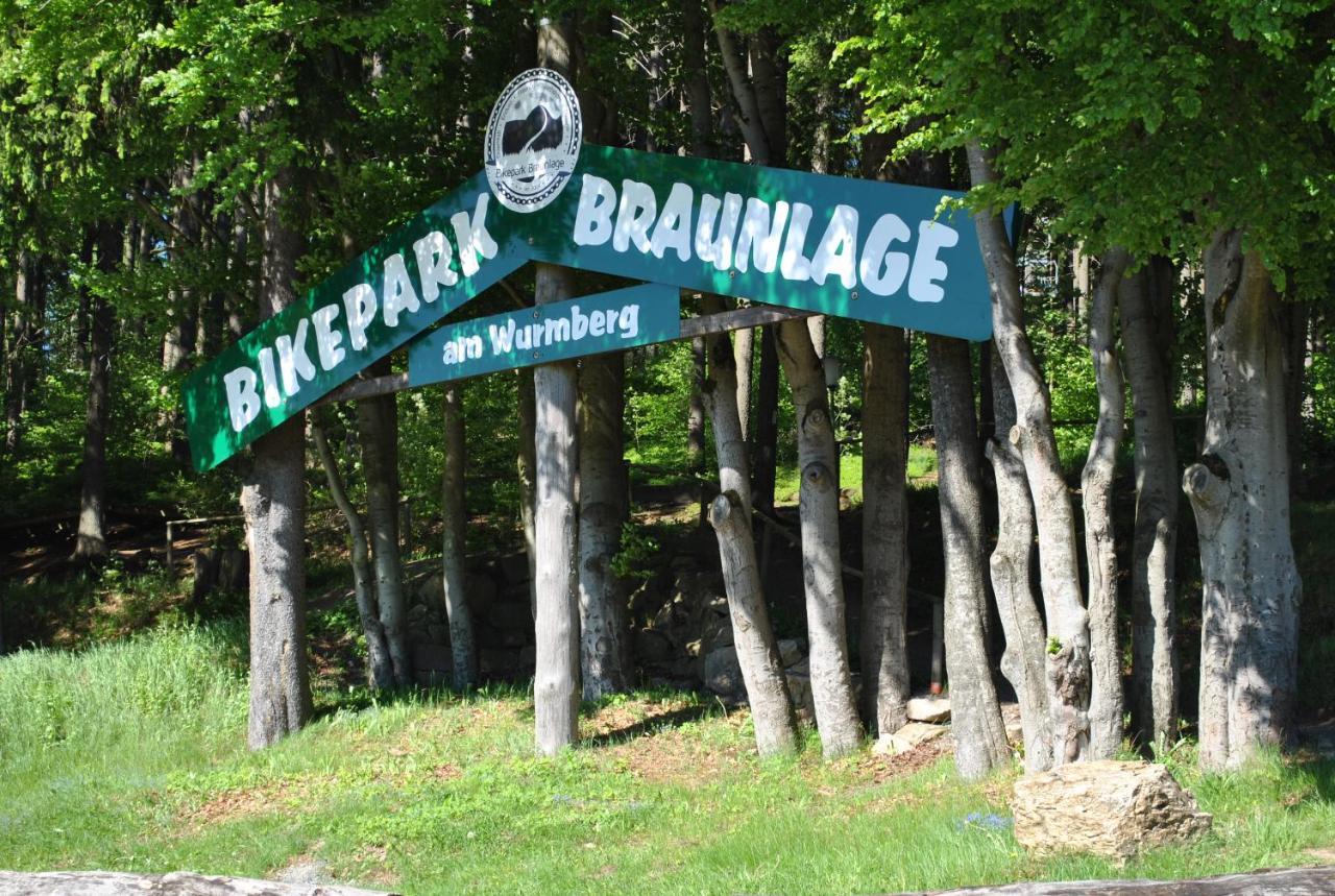 Harz-rose Lejlighed