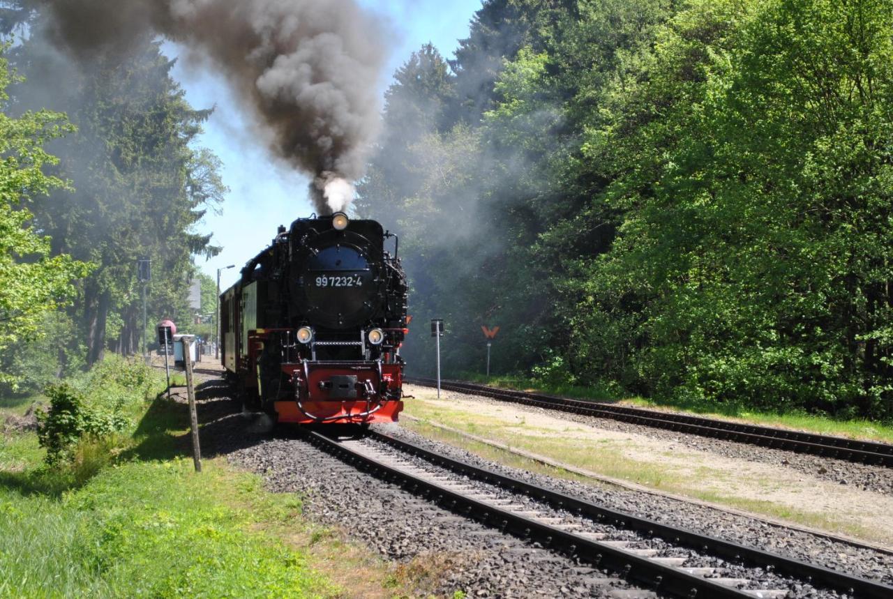Harz-rose Braunlage