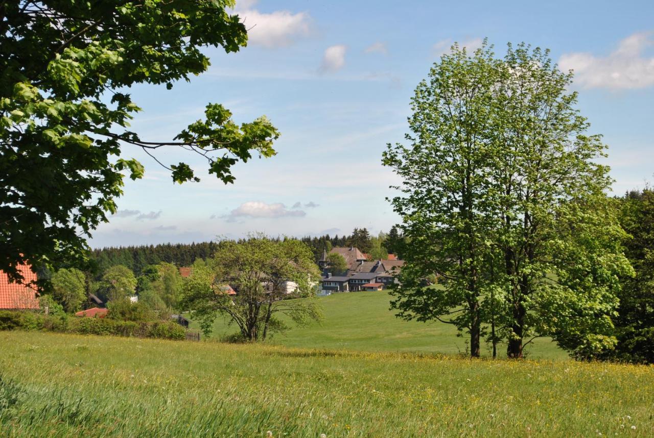 Harz-rose Lejlighed