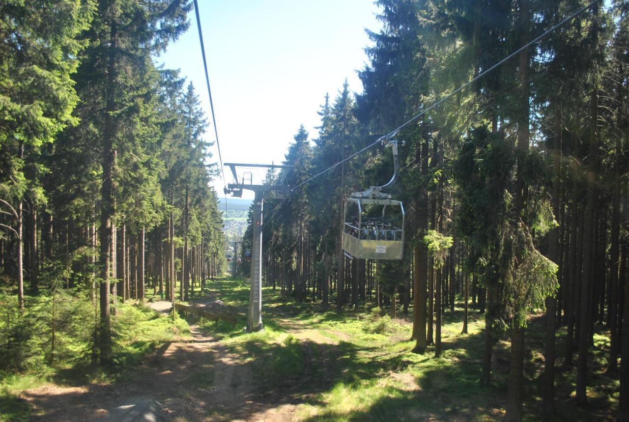 Lejlighed Harz-rose *