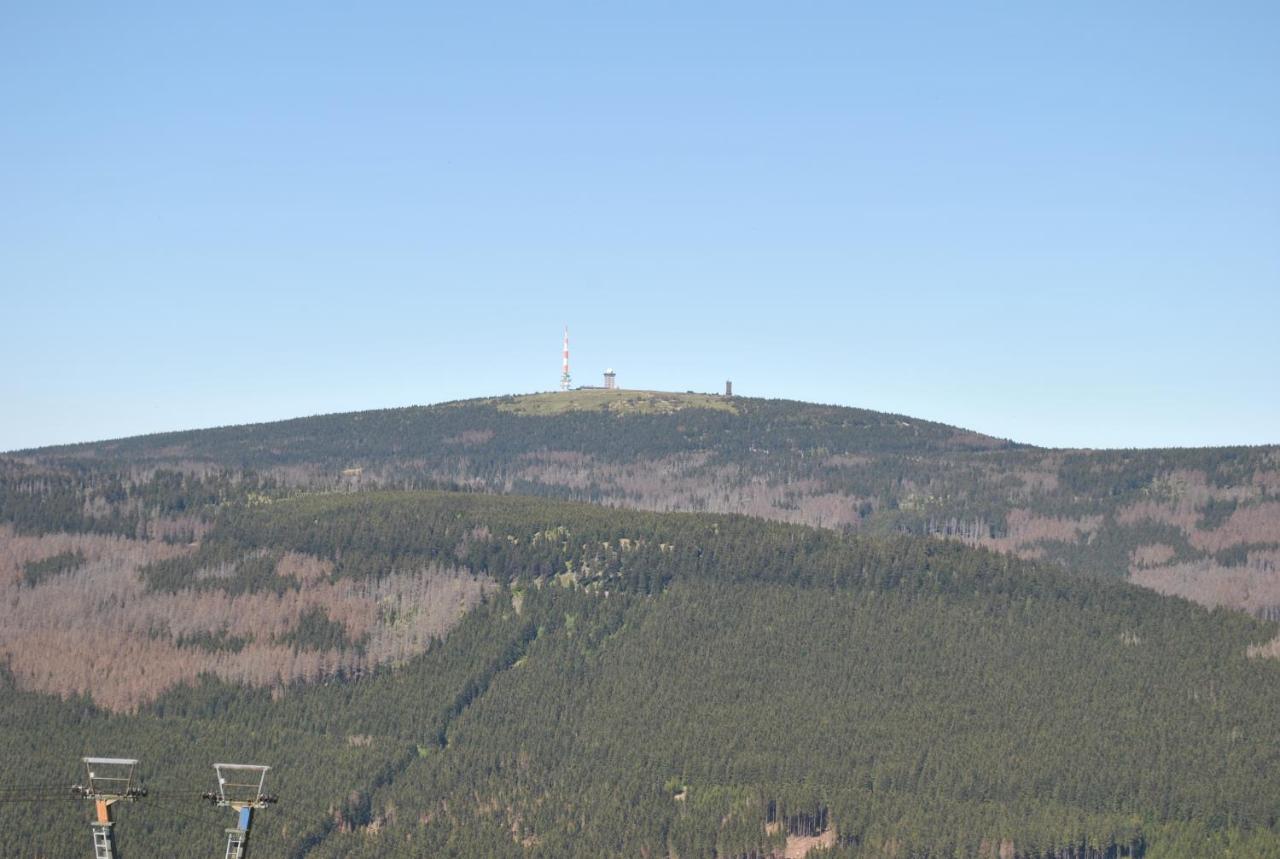 Harz-rose *