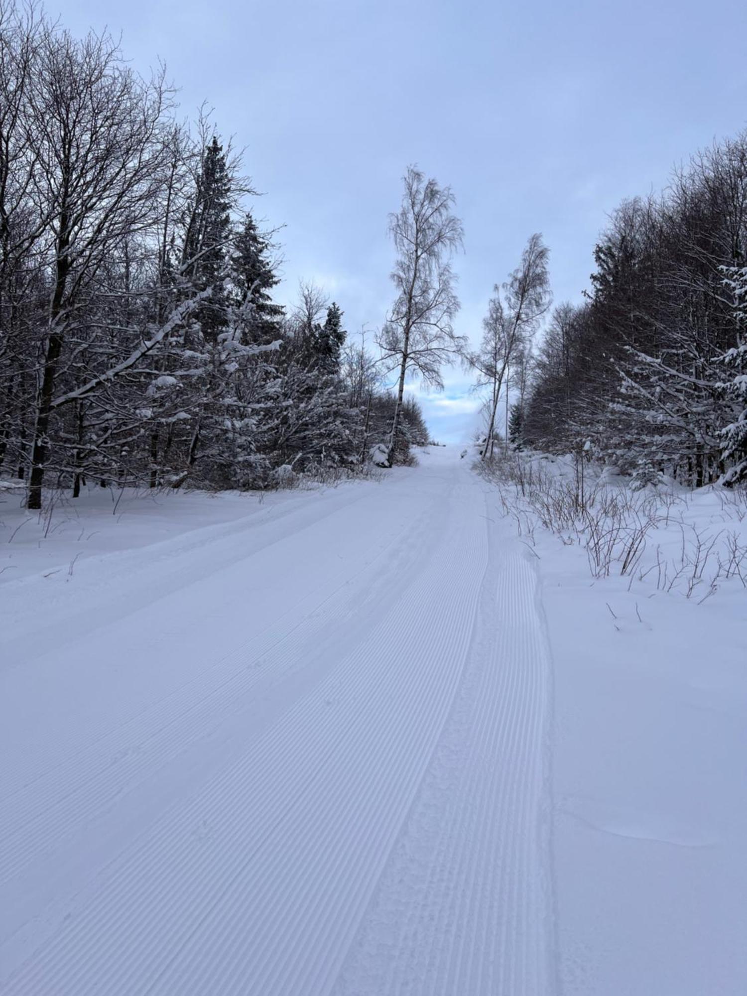 Lejlighed Harz-rose Braunlage