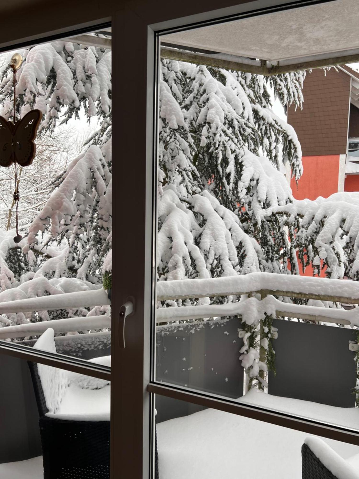 Harz-rose * Braunlage